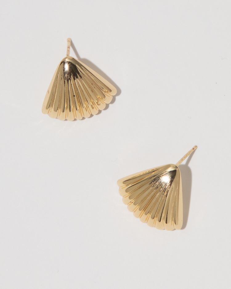 Seashell Stud Earrings
