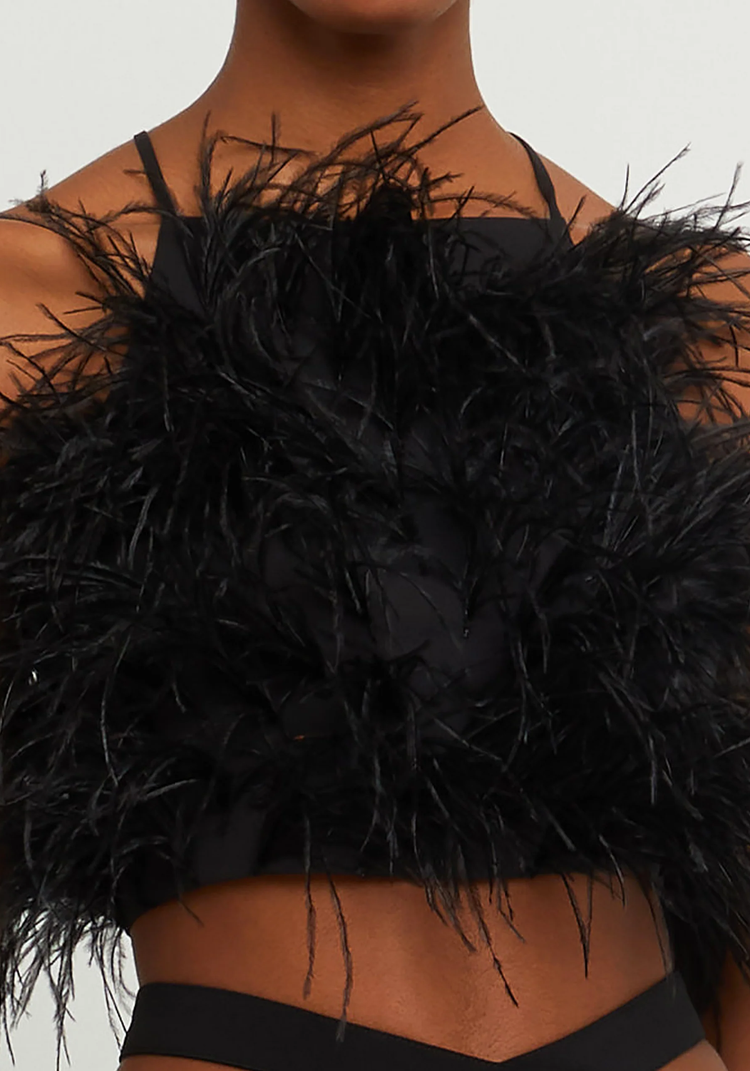 Birdy Top