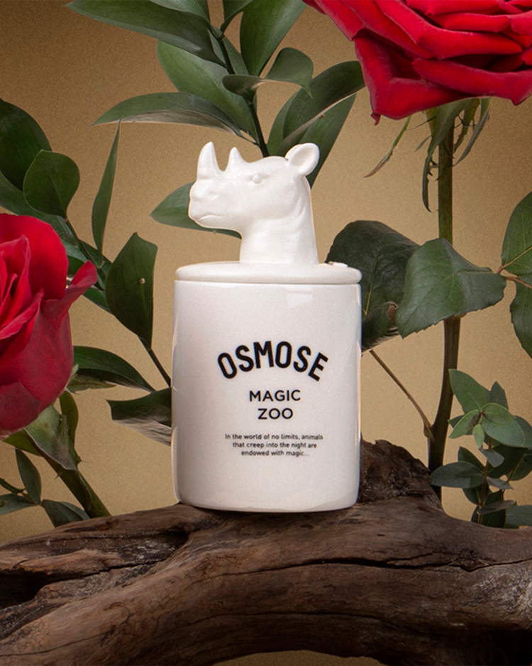 Magic Zoo Candle